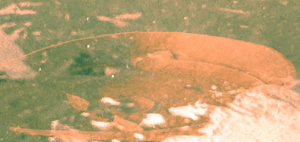 beschrijving plaatje blog 4